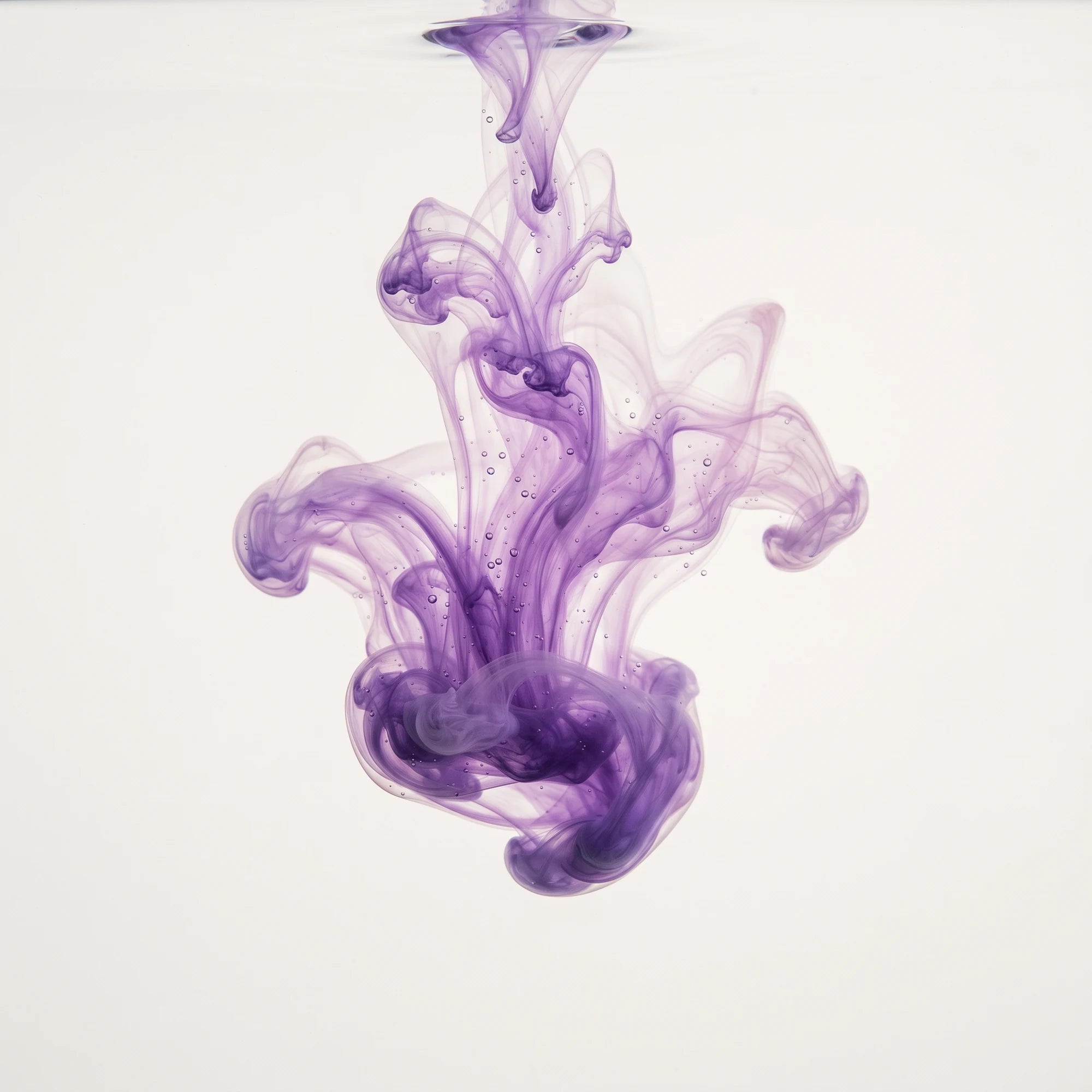 Paarse pigmenten in water